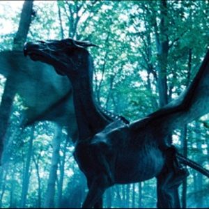 Meet your Posher, Jeff